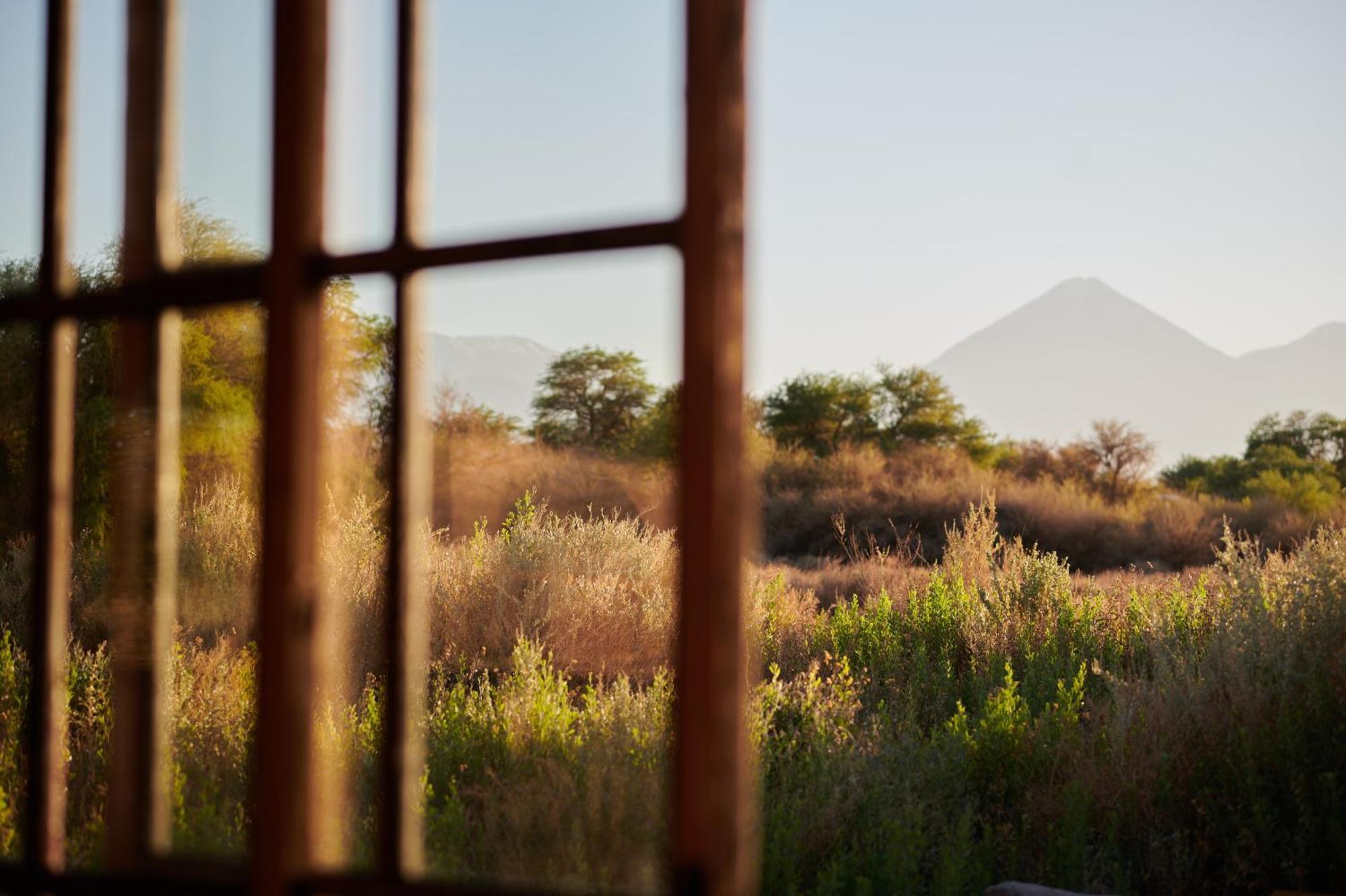 Casa Chincol Guest House San Pedro de Atacama Eksteriør bilde